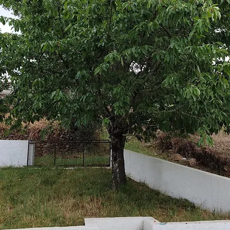 Apartament The Cherry Tree Place
